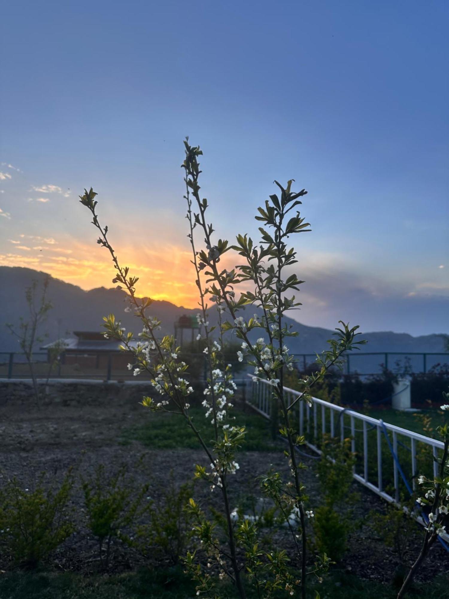 Highfield Villa Kanatal Kültér fotó